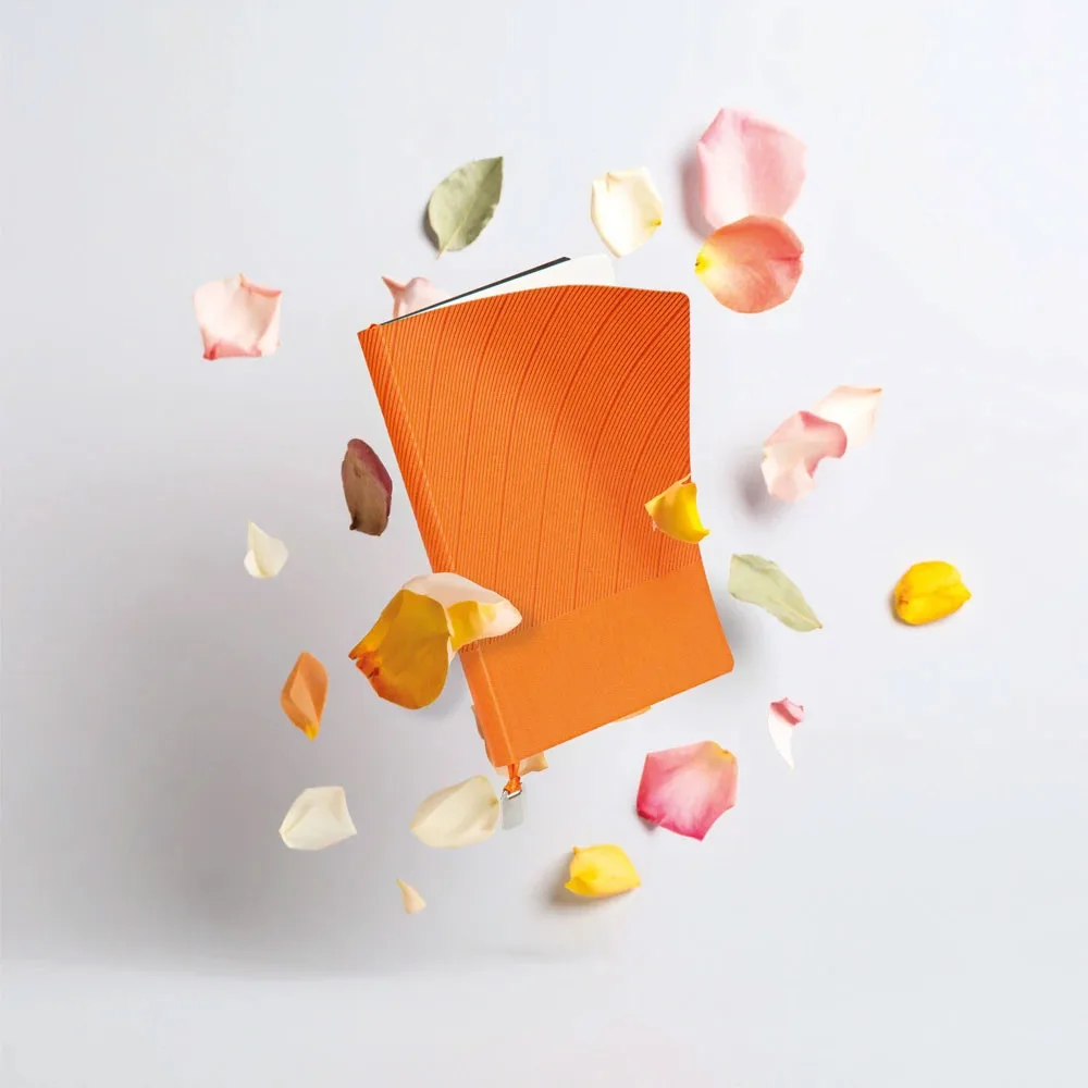 Tarihsiz Defter