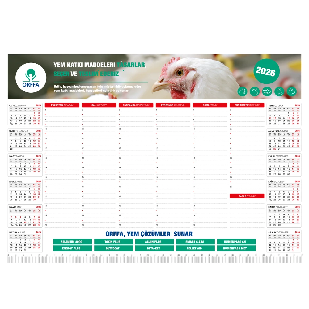 MS-20-43x31 Tarihsiz Masa Sümeni