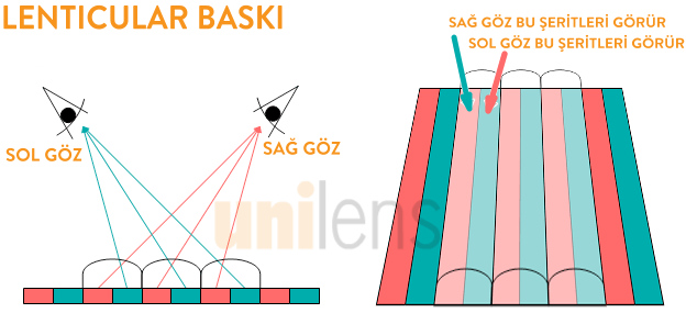 3D Lenticular Baskı Nedir?