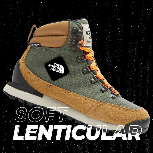 Shoe